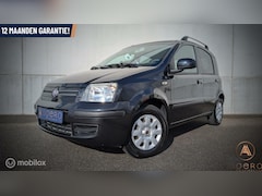 Fiat Panda - 1.2 Edizione Cool