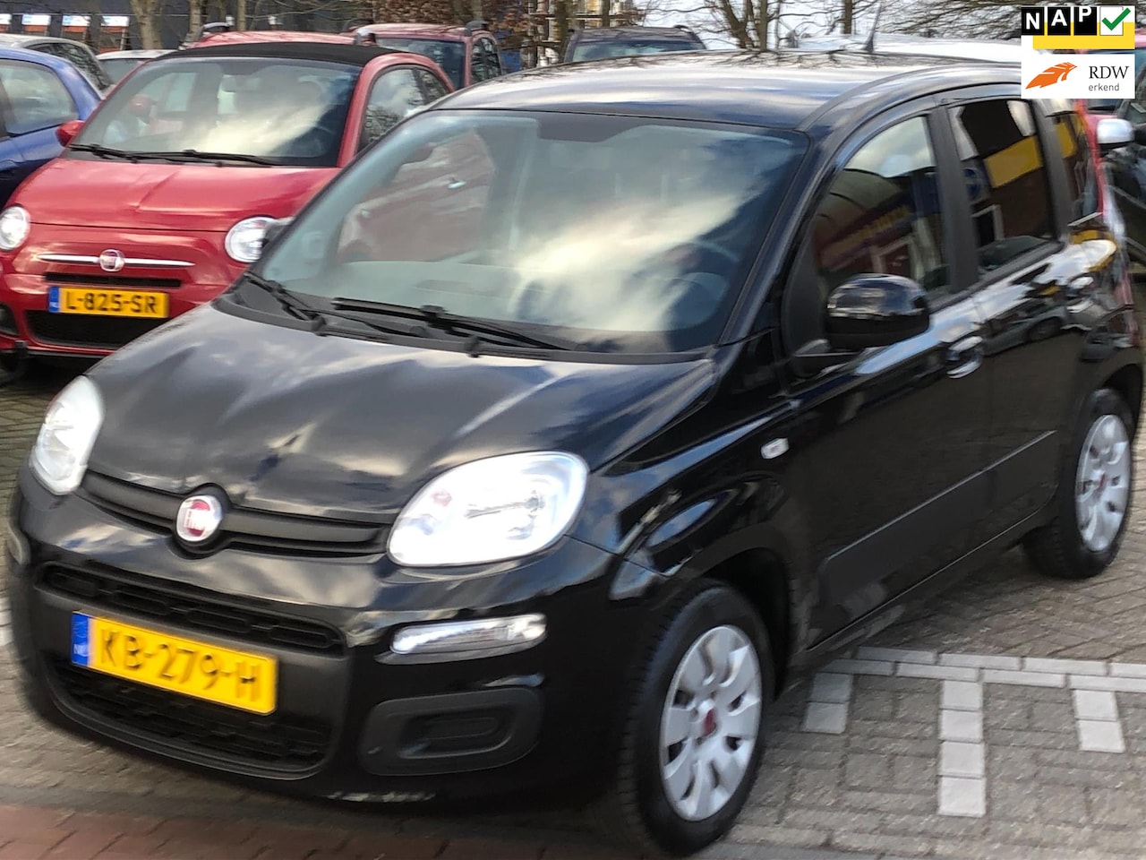 Fiat Panda - 1.2 Edizione Cool /4CILINDER/AIRCO/PDC/ PRIVACY GLAS/NW-APK - AutoWereld.nl