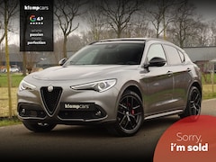 Alfa Romeo Stelvio - 2.2 JTD AWD Veloce | BTW | Inst.Schokdemp. | Schuifdak | Carplay | All Black | Flippers |