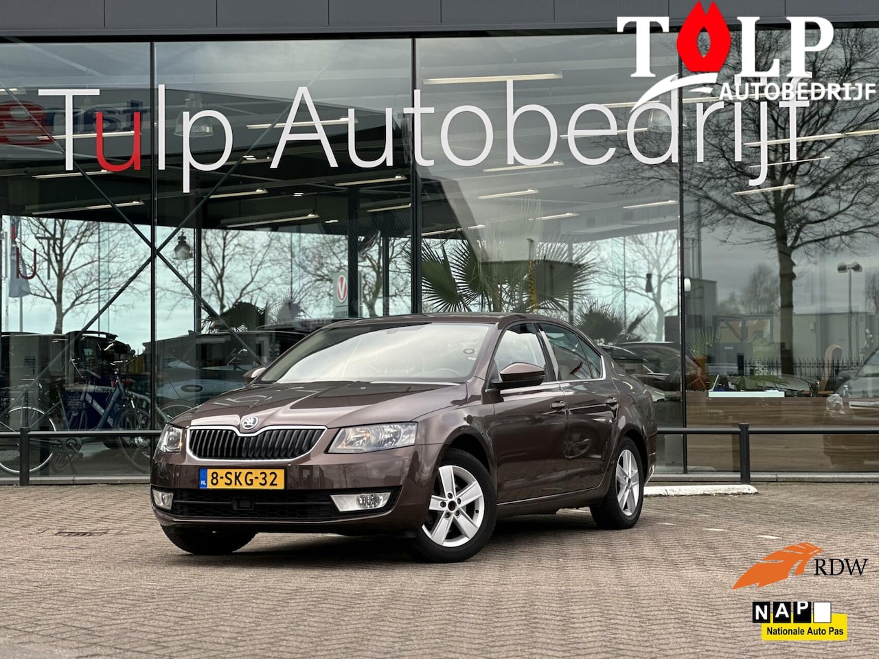 Skoda Octavia - 1.4 TSI Greentech Elegance Dealerondh Automaat - AutoWereld.nl