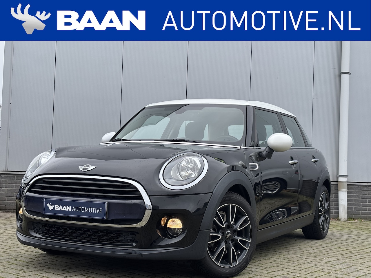 MINI Cooper - Mini 1.5 Salt Business | Stoelverwarming | Navi - AutoWereld.nl