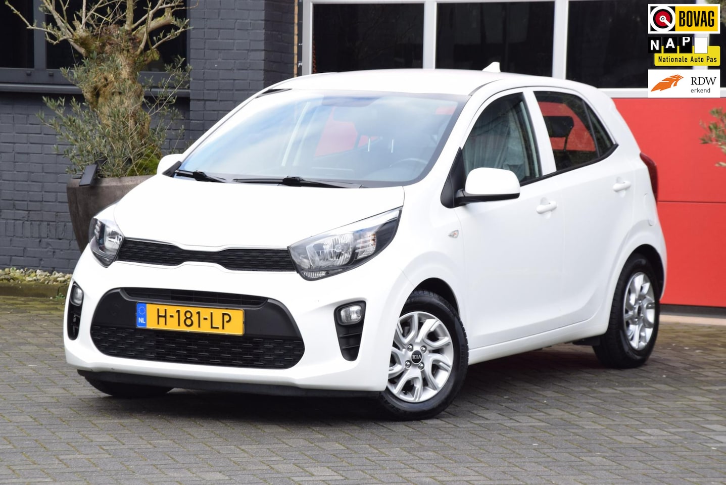 Kia Picanto - 1.0 MPi DynamicPlusLine 2020 Cruise control Nieuwe koppeling - AutoWereld.nl