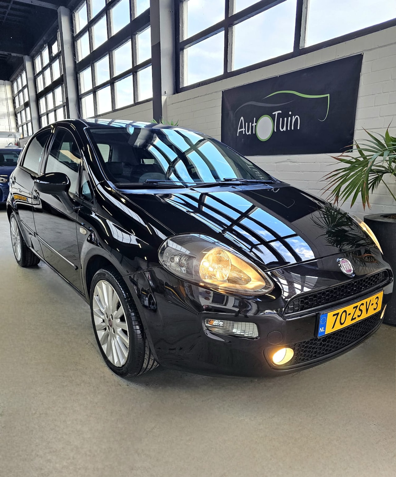 Fiat Punto Evo - 0.9 TwinAir Easy - AutoWereld.nl