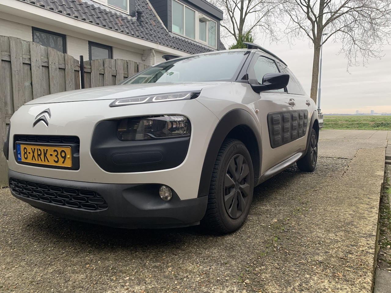 Citroën C4 Cactus - 1.6 BlueHDi Shine zeer nette cactus - AutoWereld.nl