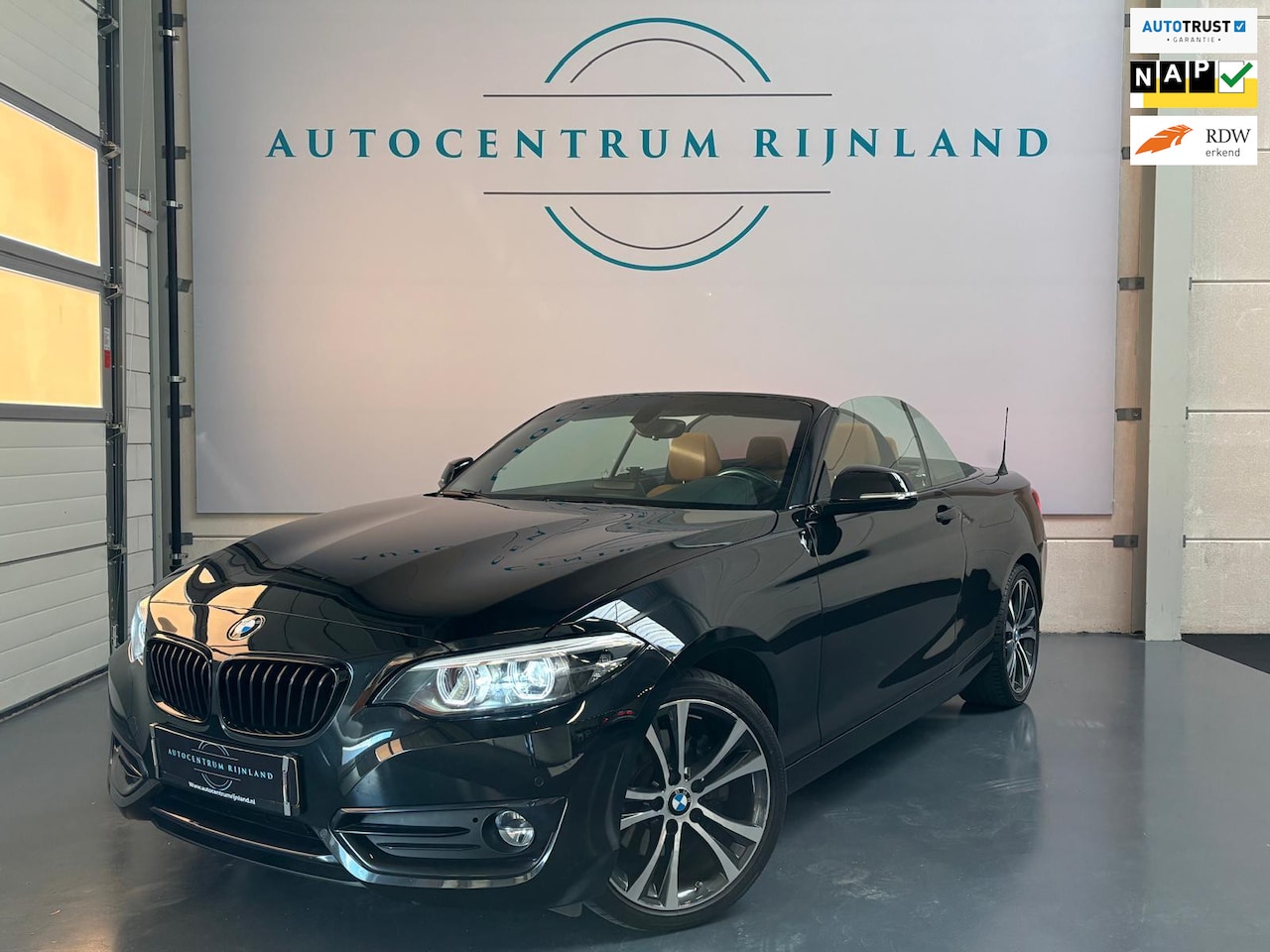 BMW 2-serie Cabrio - 220i High Executive 220i High Executive - AutoWereld.nl