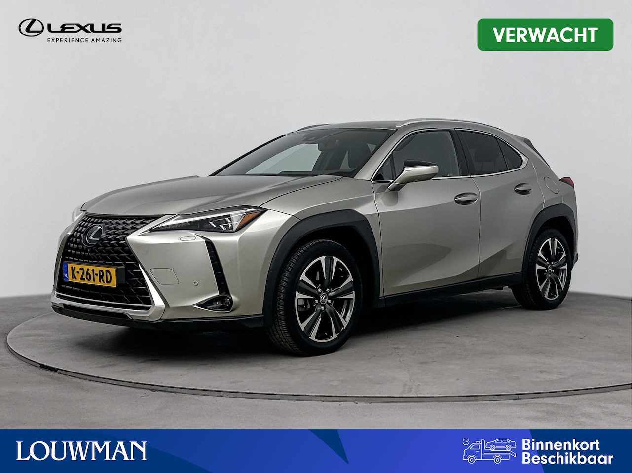 Lexus UX - 250h Executive Line | President Pack | Mark Levinson | Glazen Schuif-/kanteldak | Lederen - AutoWereld.nl