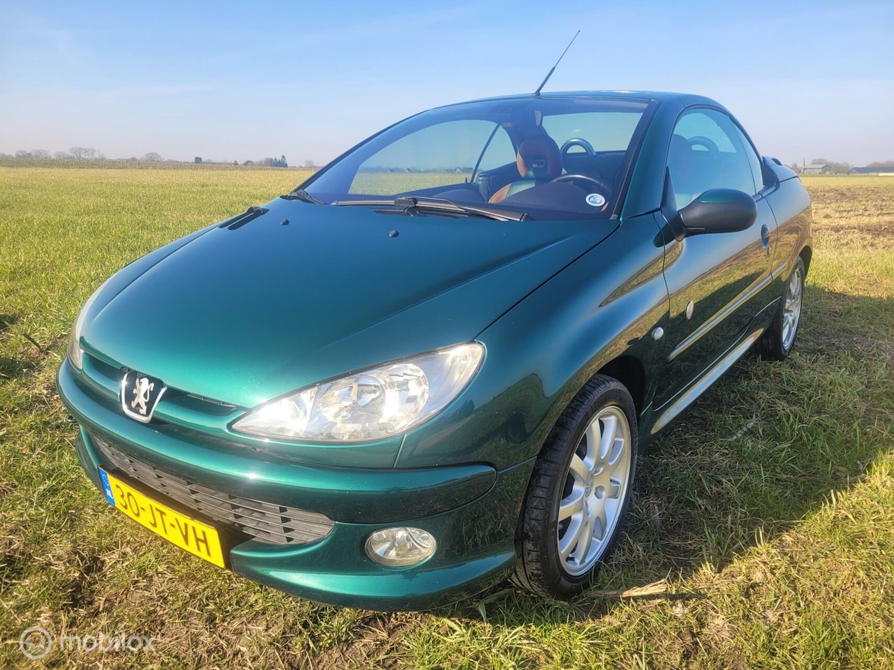 Peugeot 206 CC - 1.6-16V Roland Garros | APK | AC | RIJKLAAR - AutoWereld.nl