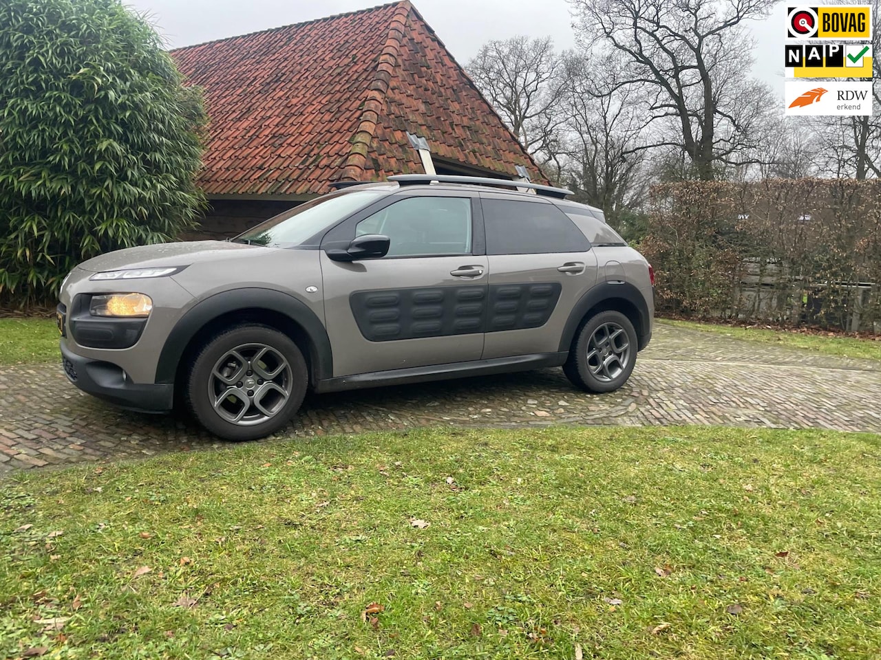 Citroën C4 Cactus - 1.2 PureTech Shine-NAVI-CAMERA-AUTOMAAT- - AutoWereld.nl