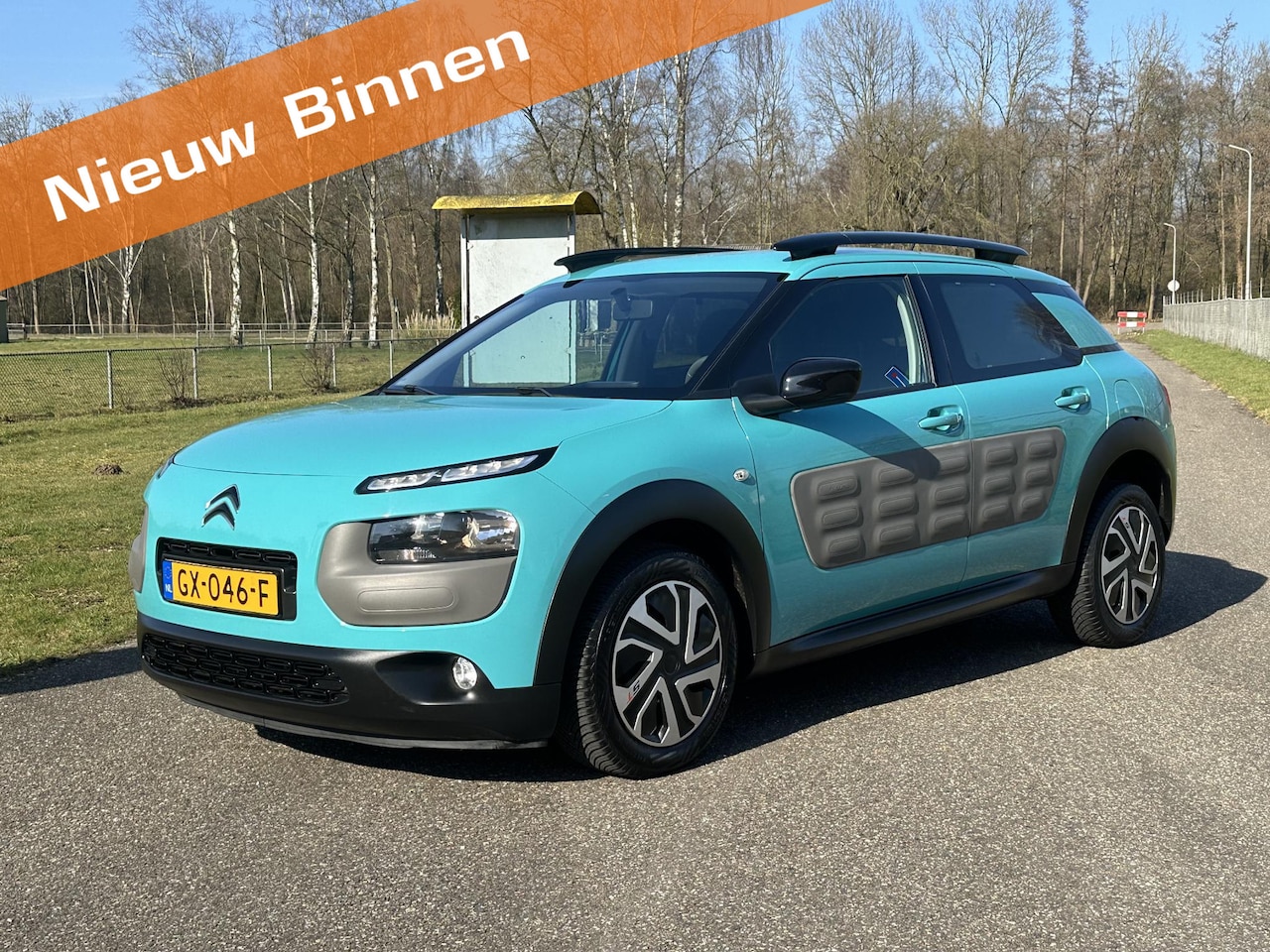 Citroën C4 Cactus - 1.2 PureTech Business Airco, Cruise ! - AutoWereld.nl