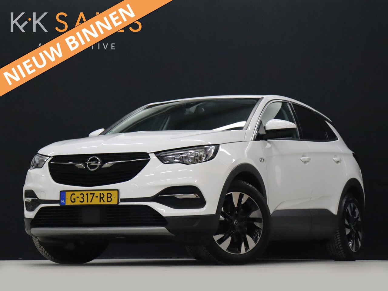 Opel Grandland X - 1.2 Turbo Business Executive [APPLE CARPLAY, TREKHAAK, CAMERA, NAVIGATIE, CRUISE CONTROL, - AutoWereld.nl