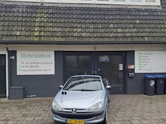 Peugeot 206 CC - 1.6-16V nw apk bij aflevering