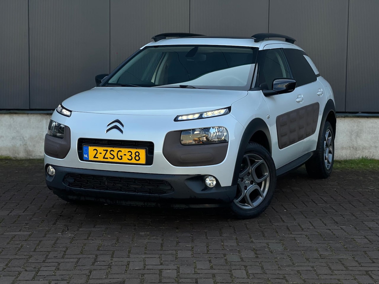 Citroën C4 Cactus - 1.6 BlueHDi Shine Pano Led - AutoWereld.nl