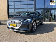 Audi e-tron - E-tron 50 quattro Launch edition plus 71 kWh, Panodak