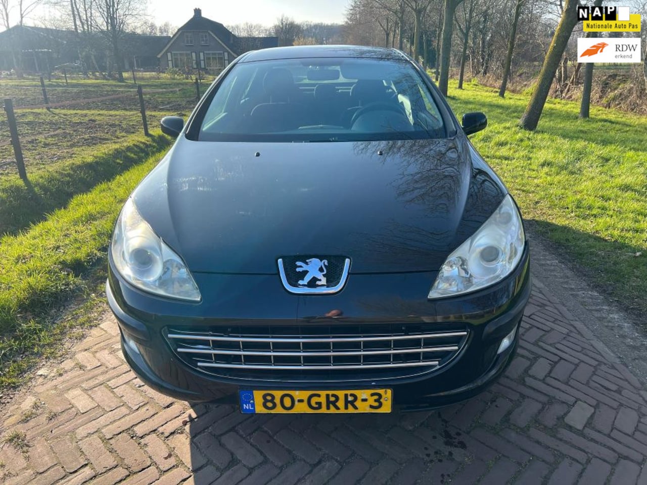 Peugeot 407 - 1.8 SR Pack Business 1.8 SR Pack Business - AutoWereld.nl