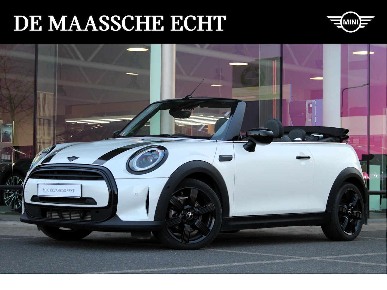 MINI Cabrio - Cooper Classic Automaat / Sportstoelen / Stoelverwarming / LED / Cruise Control / Harman K - AutoWereld.nl