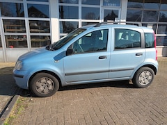 Fiat Panda - 1.2 Young