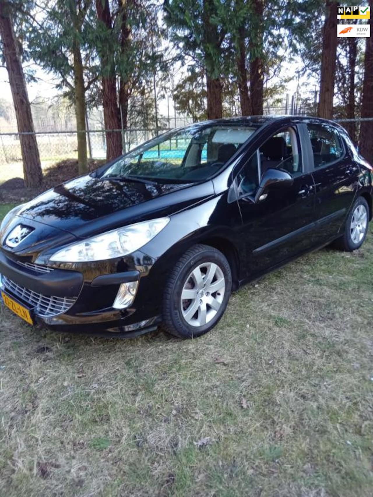 Peugeot 308 - 1.6 VTi XS 5 deurs , clima , panorama dak - AutoWereld.nl