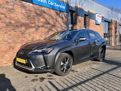 Lexus UX - 250h Luxury Line Navi PDC Carplay