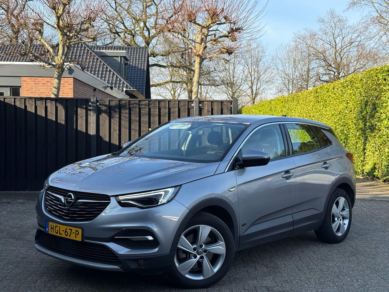 Opel Grandland X - 1.6 Turbo Hybrid Business Edition Camera - AutoWereld.nl