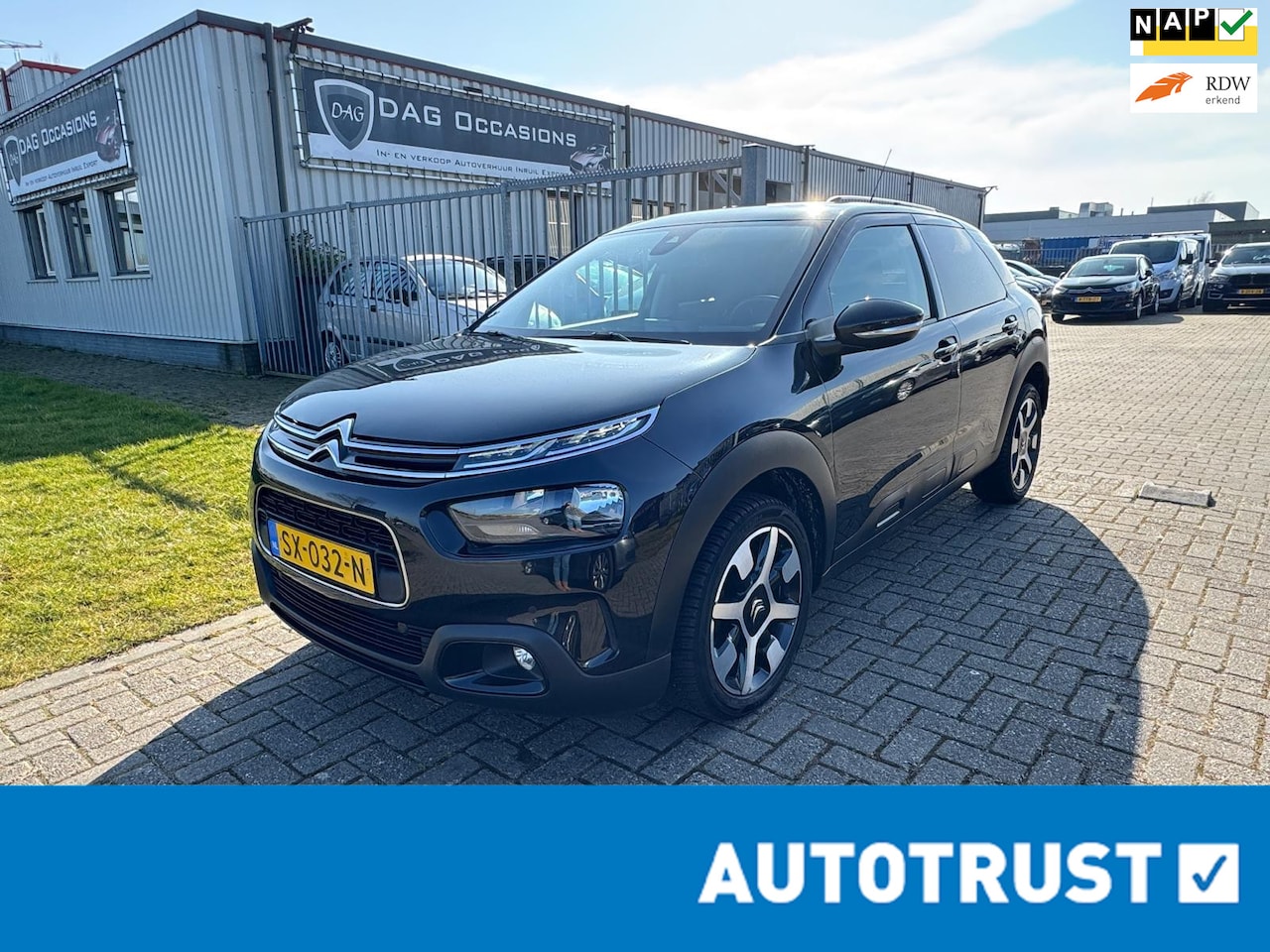 Citroën C4 Cactus - 1.2 PureTech Shine CAMERA|NAVI|PANO|CRUISE - AutoWereld.nl