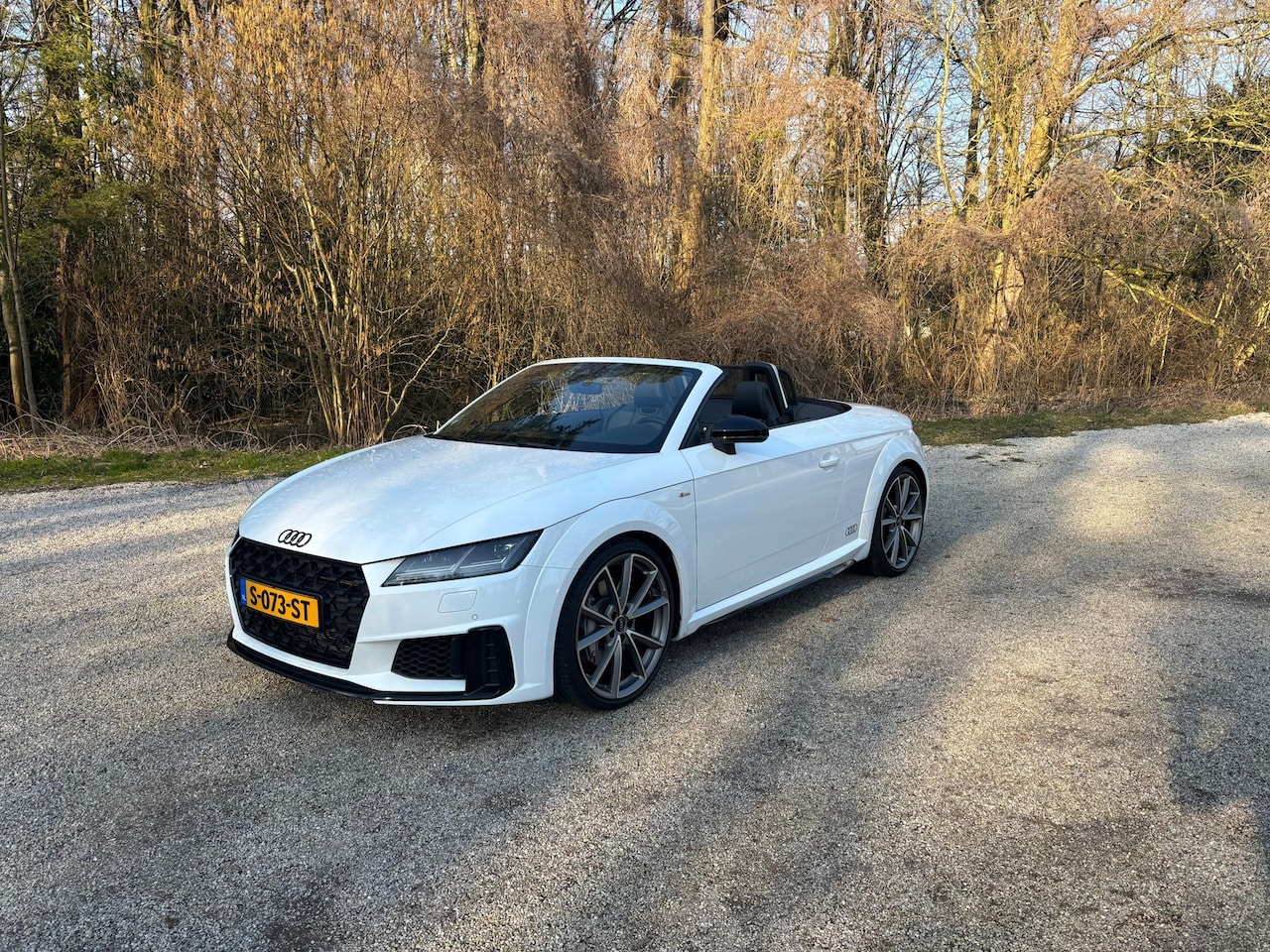 Audi TT Roadster - 45 TFSI Pro Line S Competition | Volledig S-line | Virtual Cockpit - AutoWereld.nl