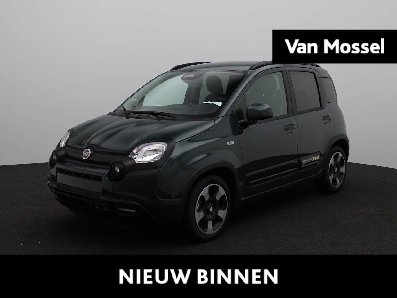 Fiat Panda - 1.0 Hybrid Pandina Carplay | Digitaal dashboard | Cruise control | - AutoWereld.nl