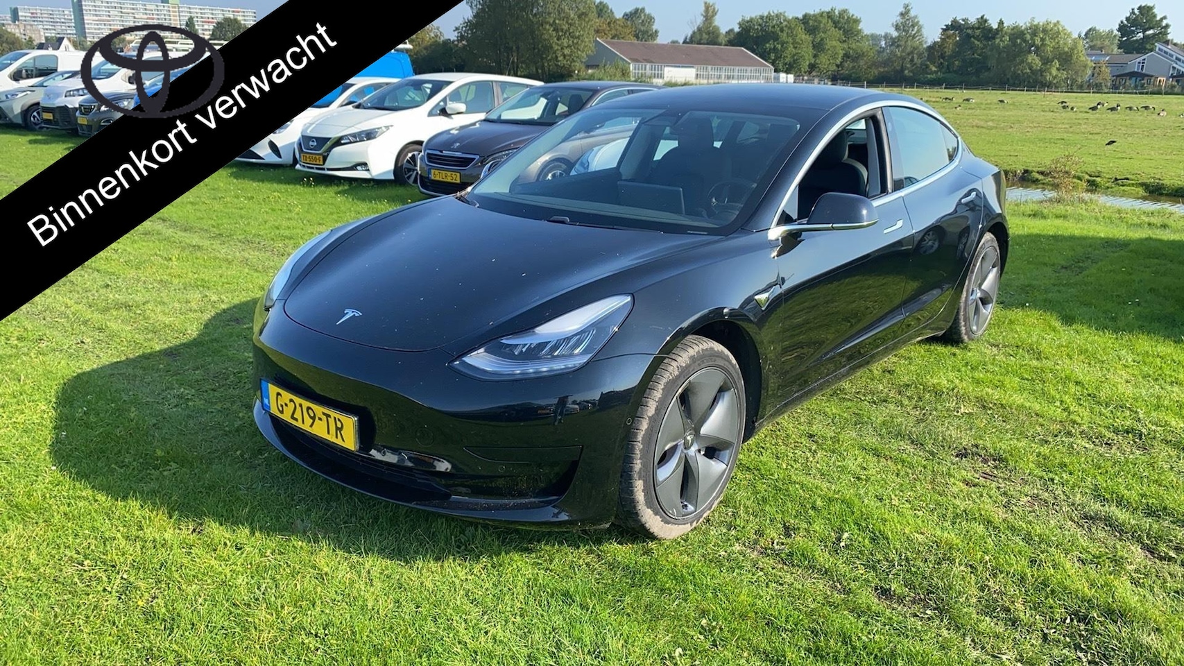 Tesla Model 3 - Standard RWD Plus 60 kWh - AutoWereld.nl