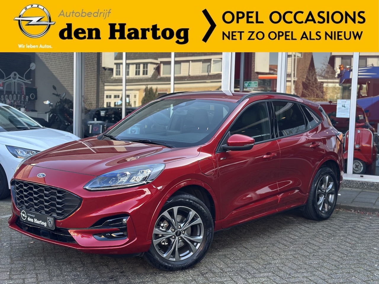 Ford Kuga - 2.5 PHEV ST-Line B&O/Electr achterklep/Electr stoel/ECC/Camera. - AutoWereld.nl