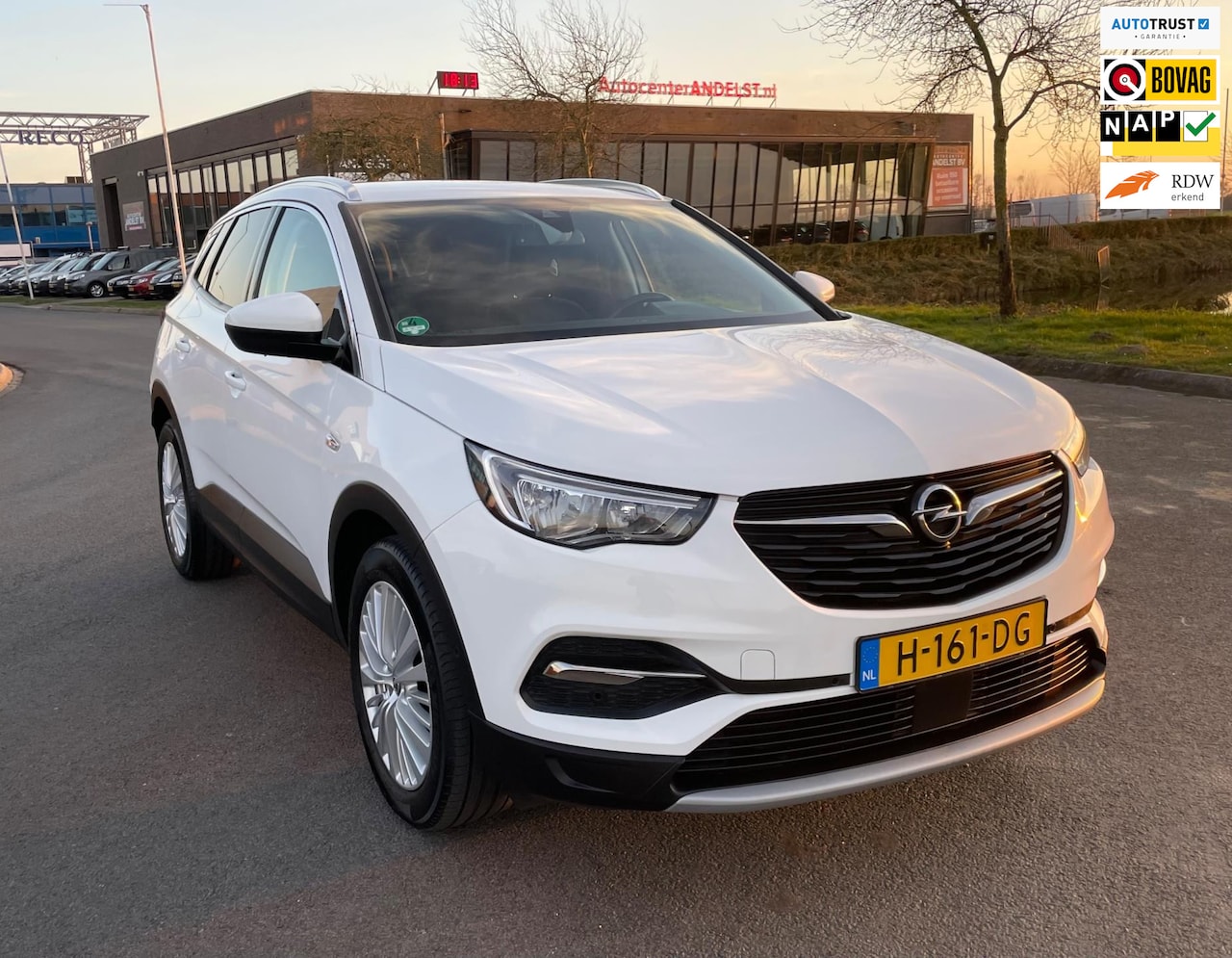 Opel Grandland X - 1.2 Turbo Business Executive 1.2 Turbo Business Executive, Aut, Trekhaak, Cam, 1e eig, Geen import, Nap, Dealer oh! - AutoWereld.nl