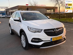 Opel Grandland X - 1.2 Turbo Business Executive, Aut, Trekhaak, Cam, 1e eig, Geen import, Nap, Dealer oh