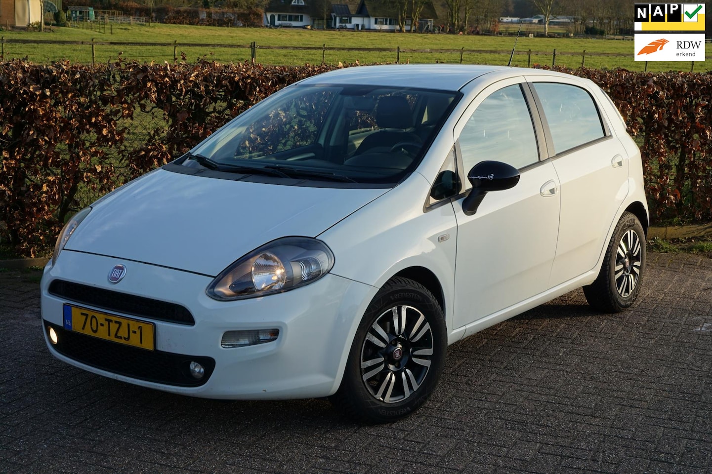 Fiat Punto Evo - 0.9 TwinAir Pop|Climate Control|Cruise Control|Zuinig - AutoWereld.nl