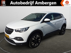 Opel Grandland X - 1.2 Turbo (130Pk) Bus. Executive Navi El. Achterklep Géén Afleve