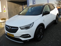 Opel Grandland X - 1.2 Turbo 130pk S&amp;S 120 Jaar Edition