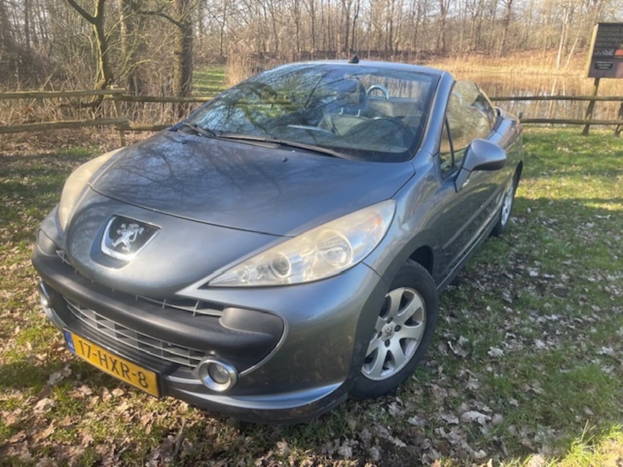 Peugeot 207 CC - 1.6 VTi Première 1.6 VTi Première - AutoWereld.nl