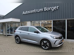 Opel Grandland - 1.2 Turbo Level 3 navi/Clima/18"LM /Cruise/Camera