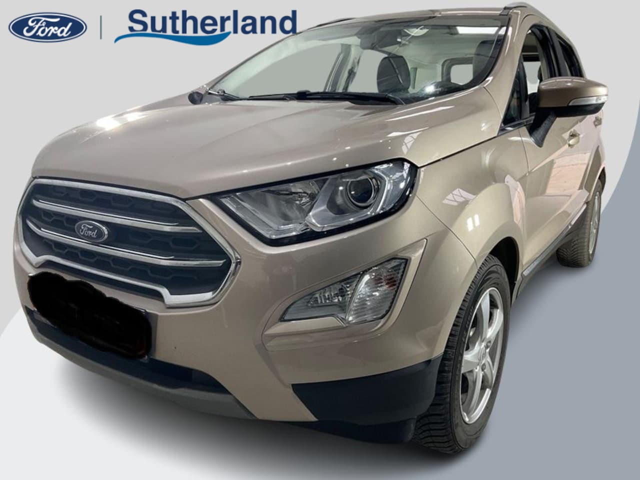 Ford EcoSport - 1.0 EcoBoost Titanium | Navigatie | Lichtmetalen velgen | Onderhoudshistorie - AutoWereld.nl