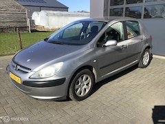 Peugeot 307 - 1.6-16V Gentry. Nieuwe APK, Nette auto Airco