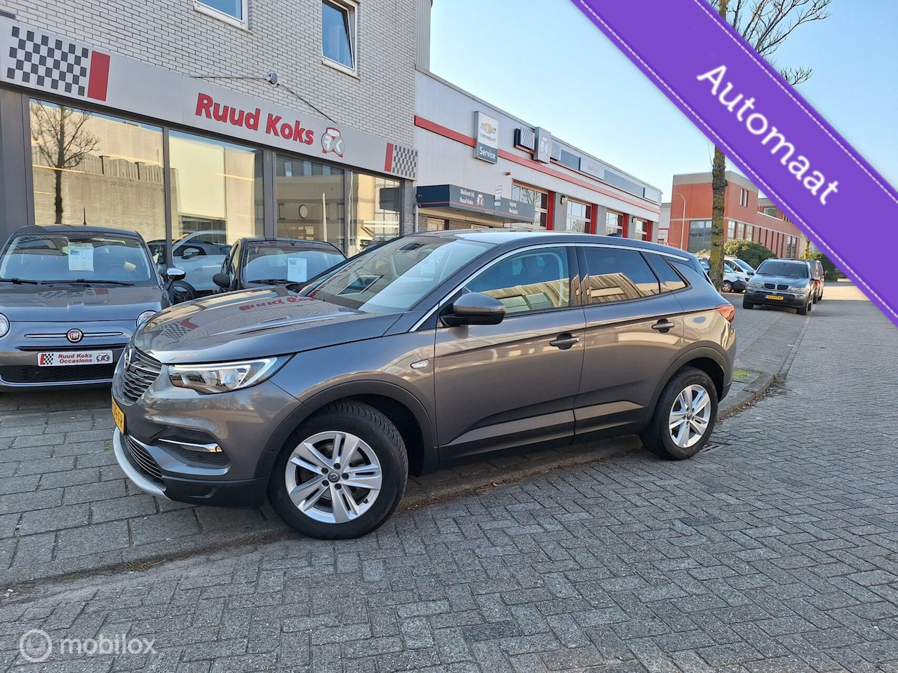 Opel Grandland X - 1.2 Turbo Business Executive 1.2 TURBO BUSINESS EXECUTIVE - AutoWereld.nl