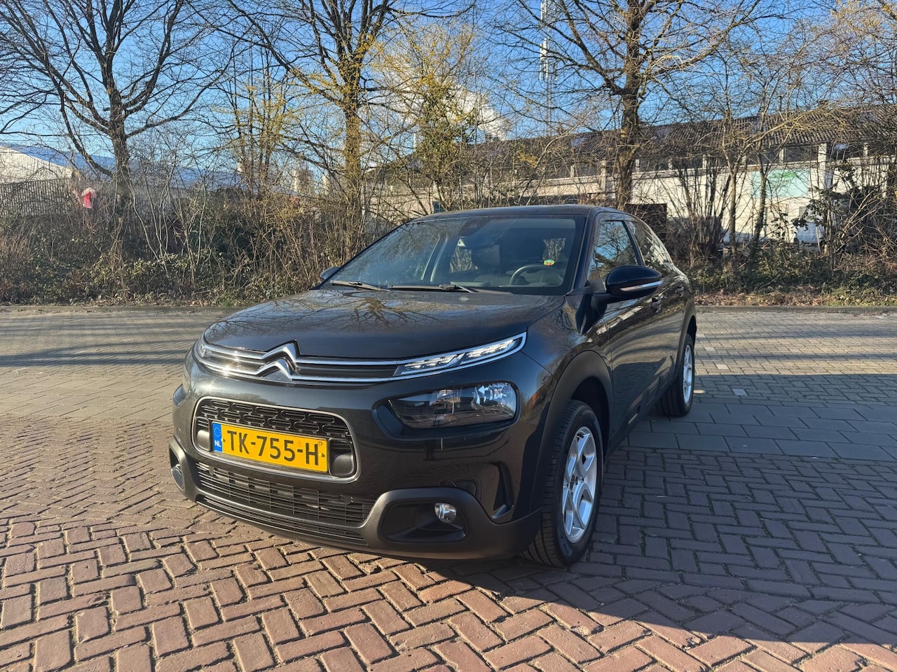 Citroën C4 Cactus - 1.6 BlueHDi Business 1.6 BlueHDi Business - AutoWereld.nl