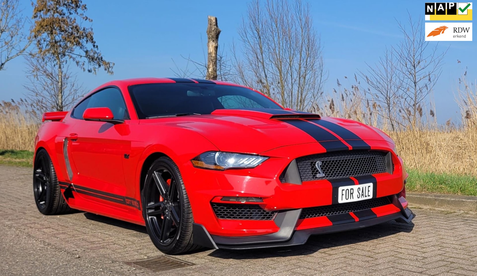 Ford Mustang Fastback - 5.0 V8 GT 350 uitvoering (handgeschakeld !) 466 pk ! - AutoWereld.nl