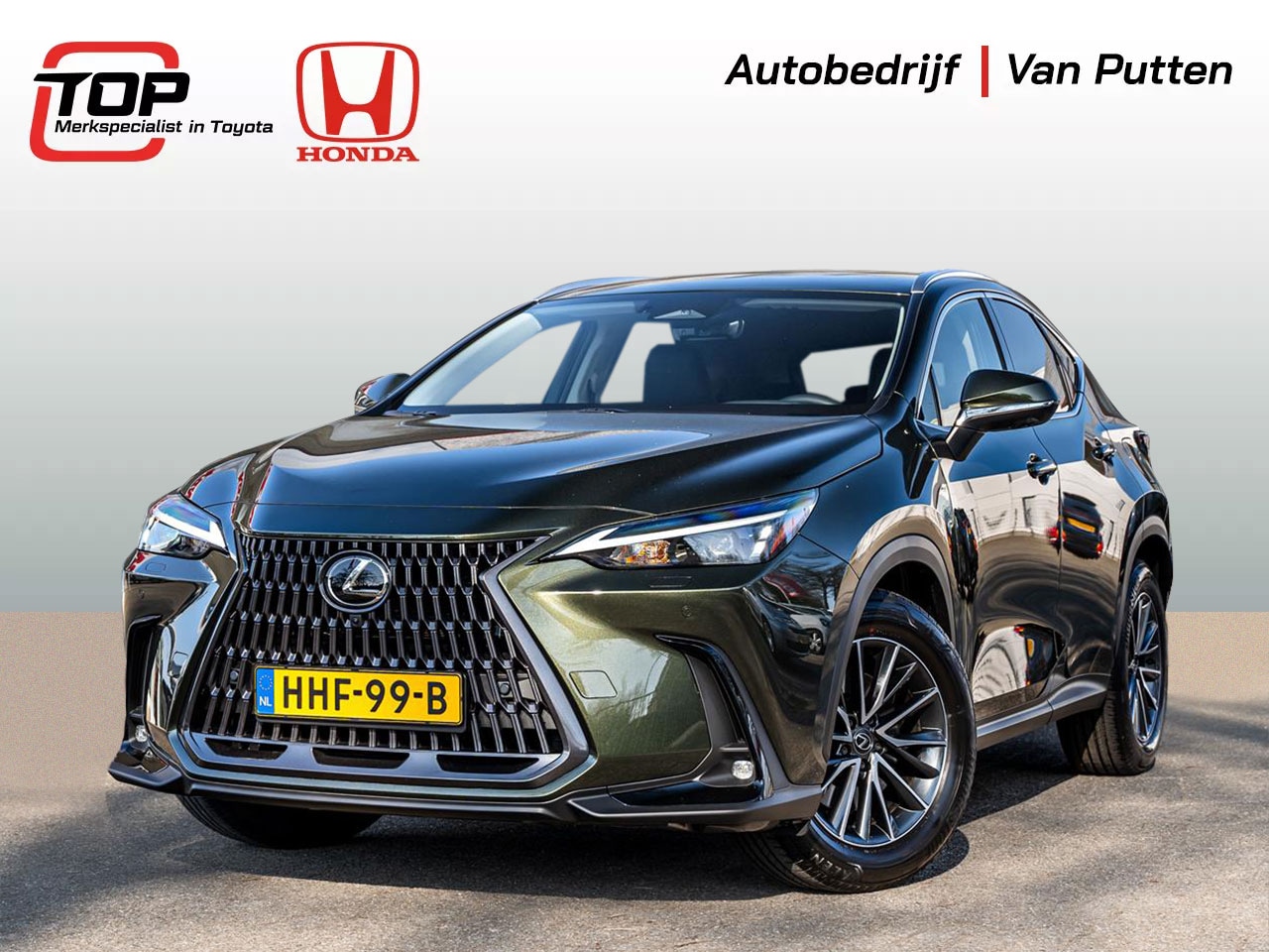 Lexus NX - 450h+ Hybrid 309pk AWD Luxury Line | Terrane Khaki Metallic | Head-Up Display | 360 camera - AutoWereld.nl