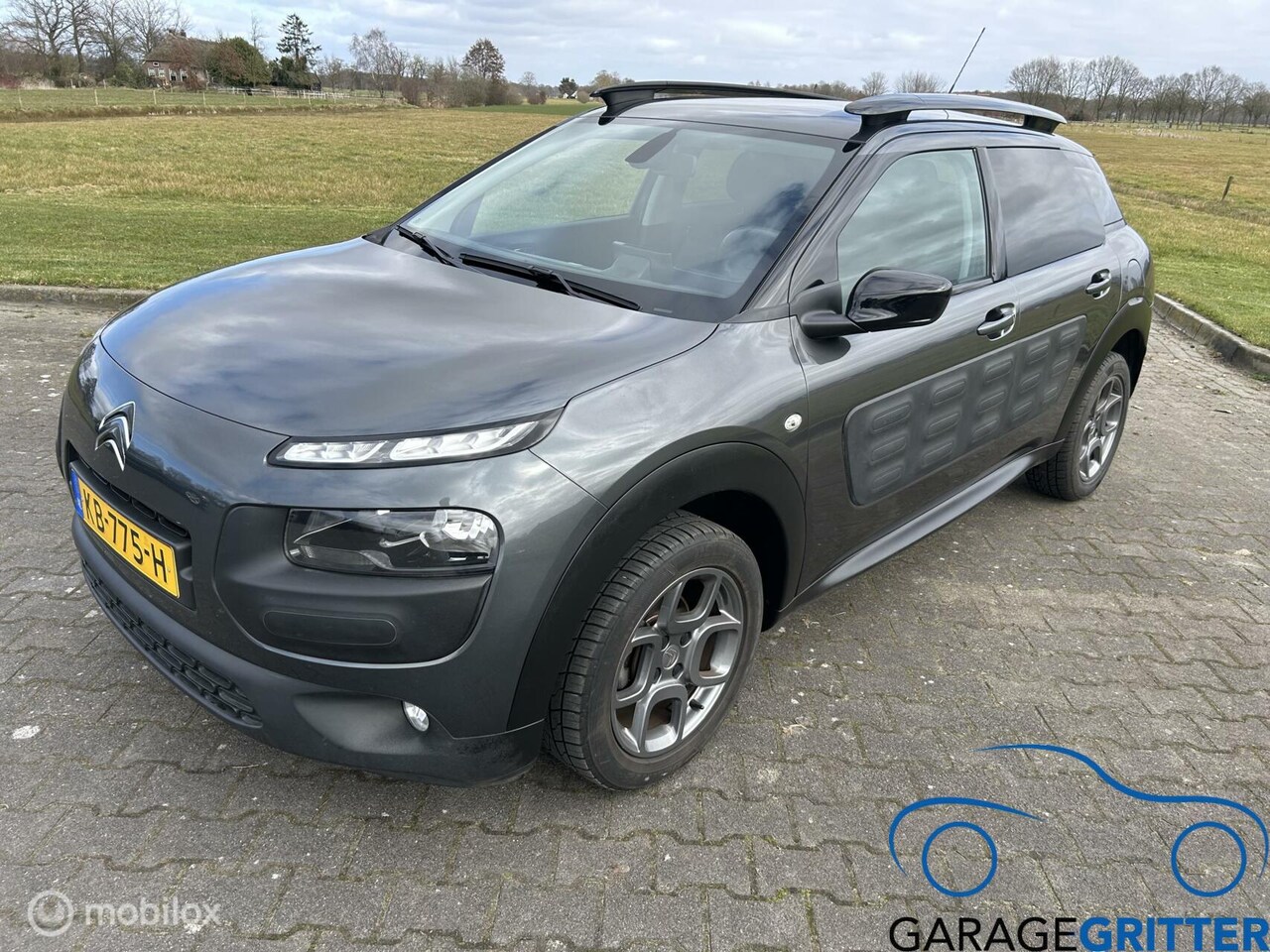 Citroën C4 Cactus - 1.2 PureTech Business 1.2 PureTech Business - AutoWereld.nl