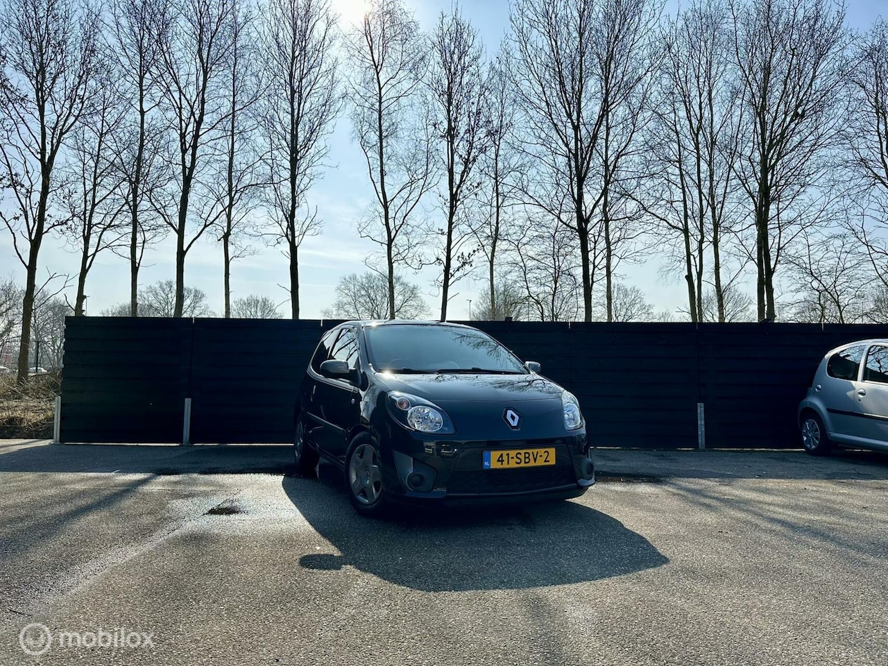 Renault Twingo - 1.2-16V | Collection | Airco | Elek. ramen - AutoWereld.nl