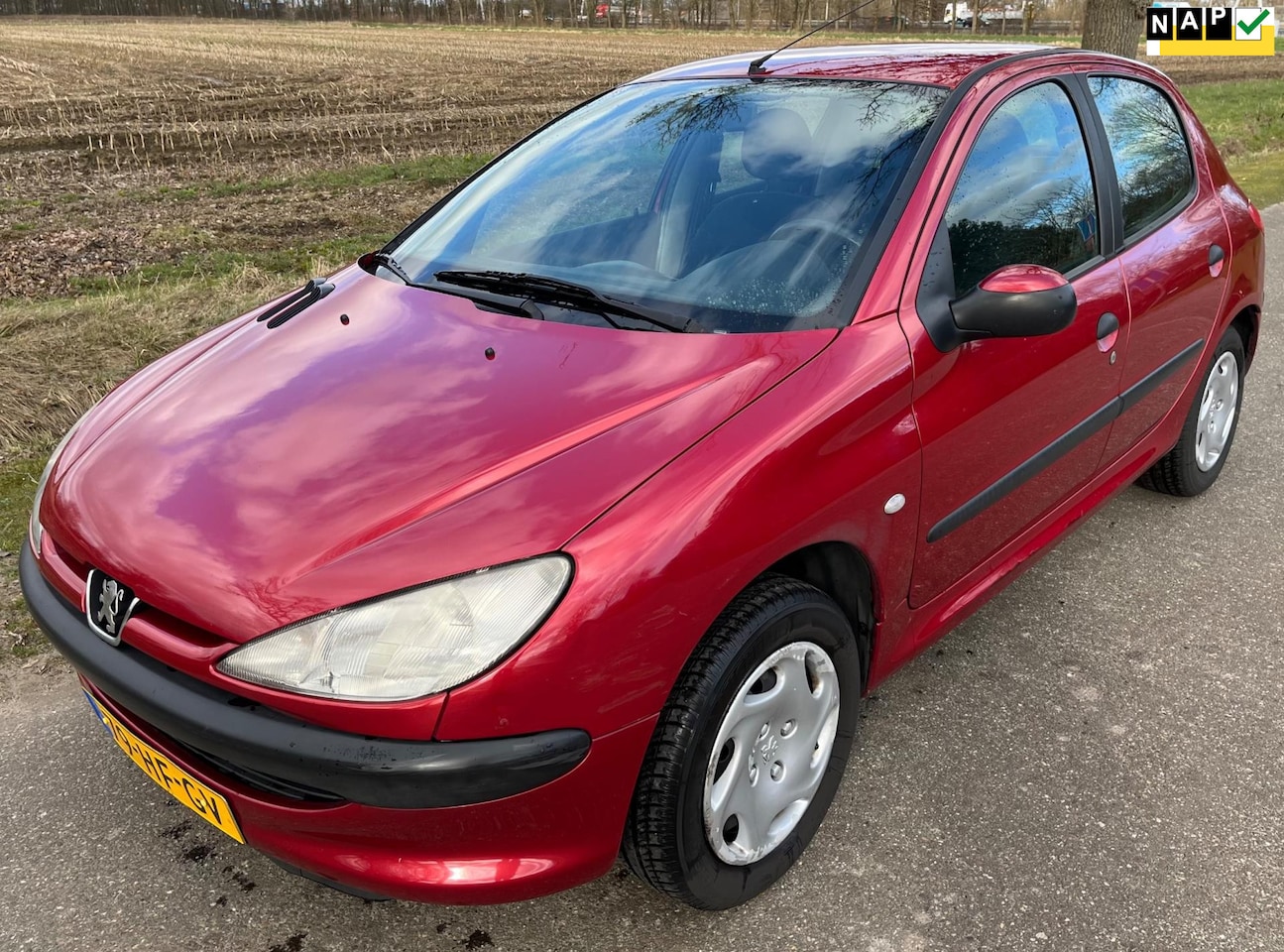 Peugeot 206 - 1.4 XT Elektr ramen/5deur/Centraal/Meerdere sleutels - AutoWereld.nl