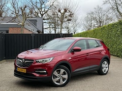 Opel Grandland X - 1.6 Turbo Hybrid Business Edition TREKHAAK