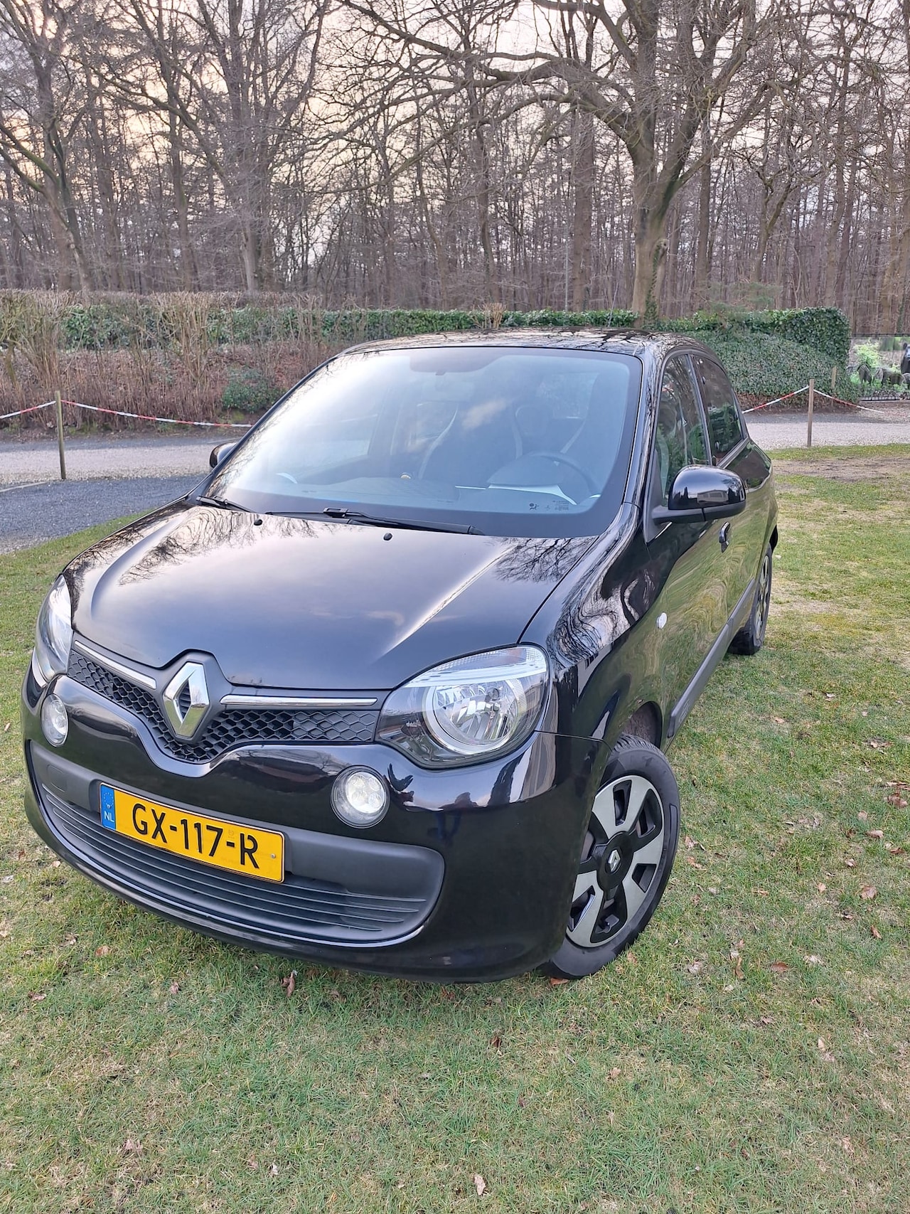 Renault Twingo - 1.0 SCe Expression - AutoWereld.nl