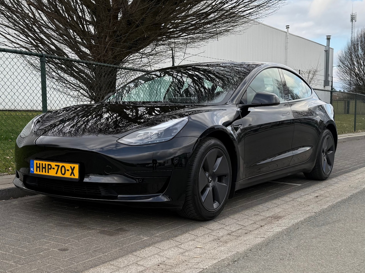 Tesla Model 3 - Standard RWD Plus 60kWh - AutoWereld.nl