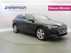 Audi e-tron - 50 Quattro Launch plus 71 kWh - Panorama, Leer