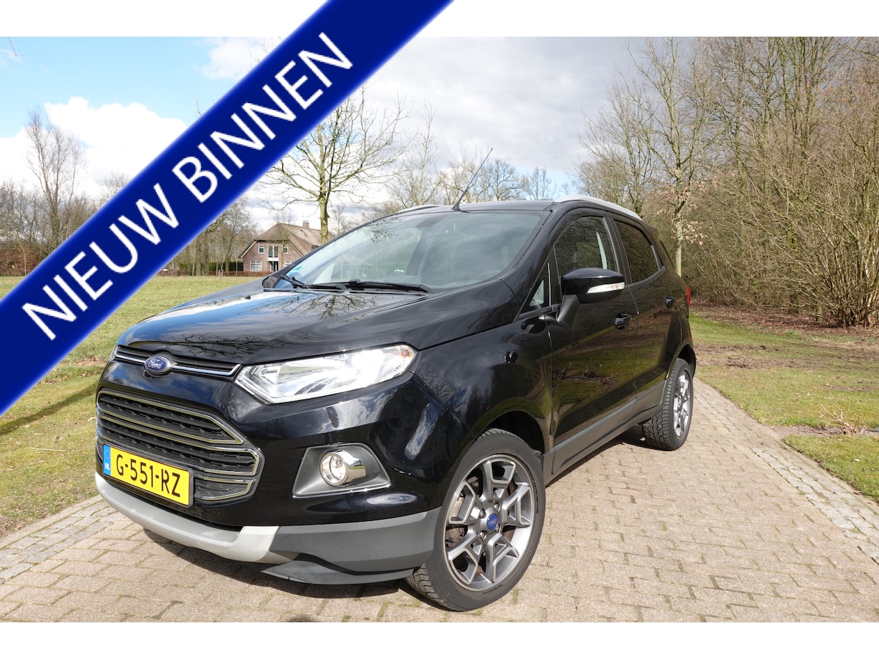 Ford EcoSport - 1.0 EcoBoost Titanium S | Stoelverwarming | Leer | Achteruitrijcamera | Keyless - AutoWereld.nl