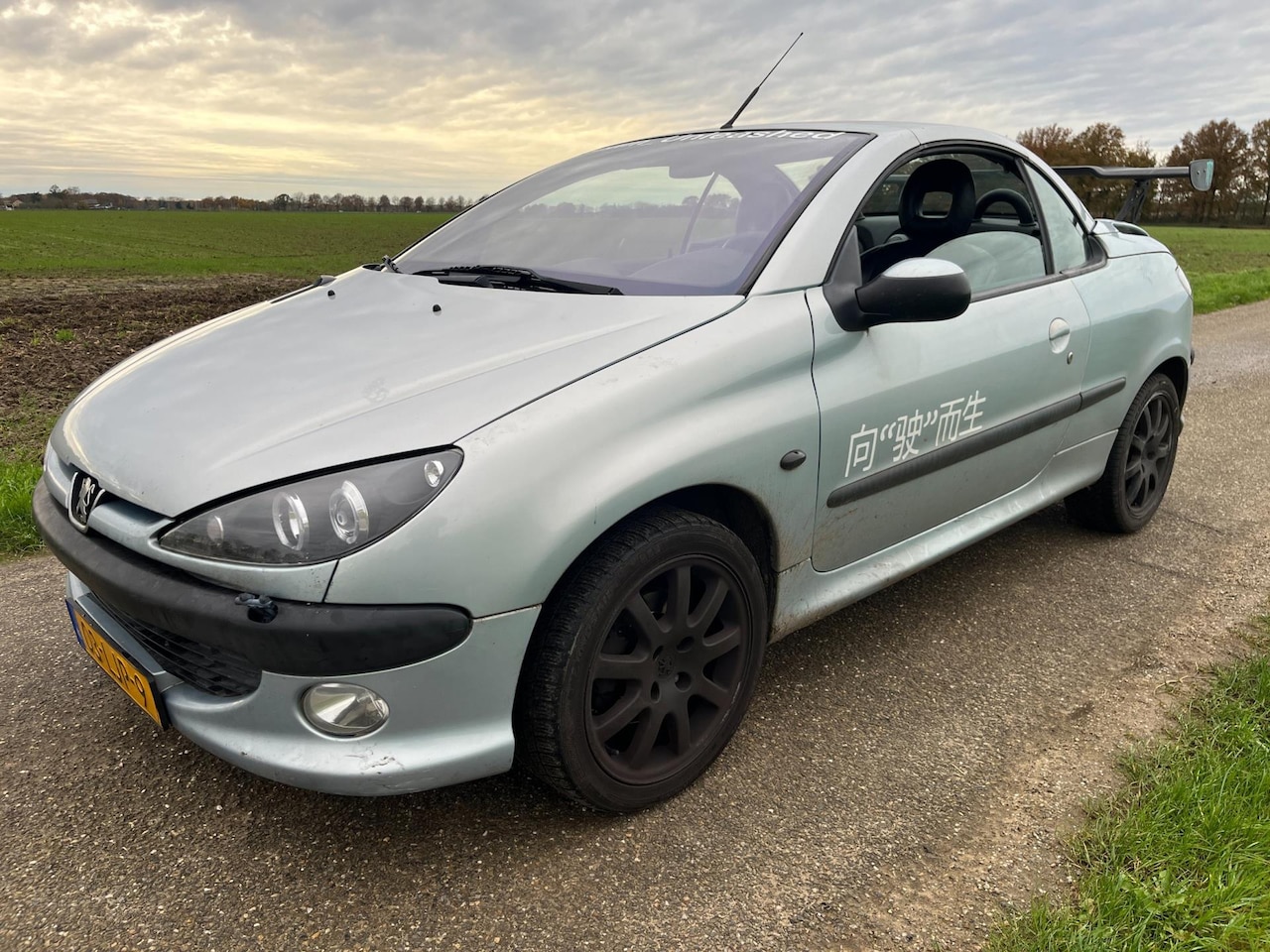 Peugeot 206 CC - 2.0-16V GOED LEZEN - AutoWereld.nl